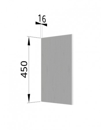 Панель торцевая (для шкафа горизонтального высокого) ВПГ Ройс (Графит софт) в Красноглинном - krasnoglinnoe.mebel54.com | фото